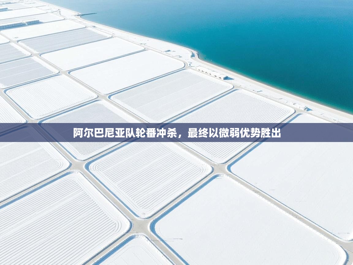 阿尔巴尼亚队轮番冲杀,最终以微弱优势胜出 第2张